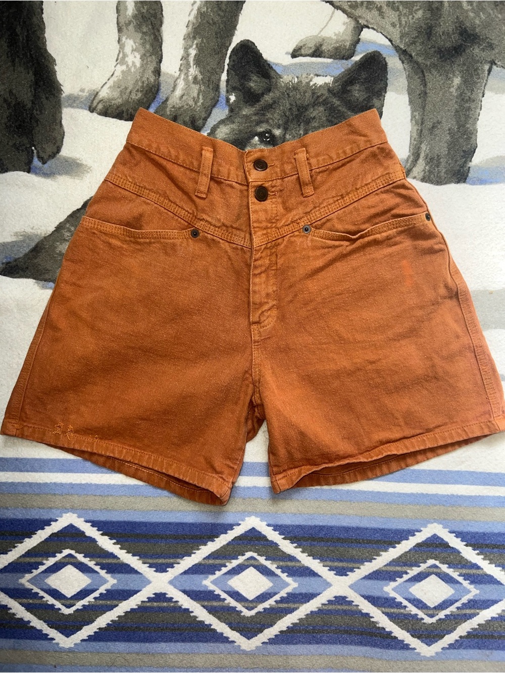 Vintage 80s l.e.i. Rust Orange High Waisted Jean Shorts Size 9 (23”)